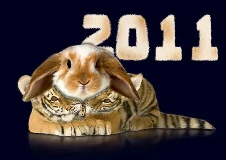 2011 год кого животного по гороскопу