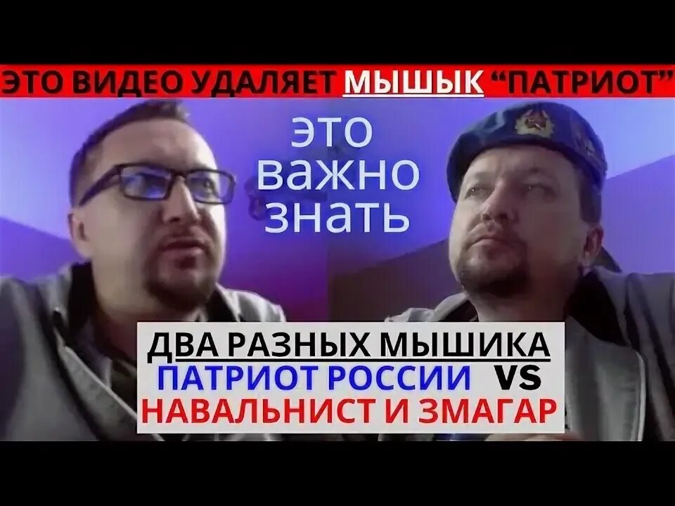 Мышык стрим. Мышык стрим