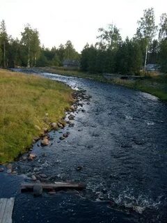 Райконкоски
