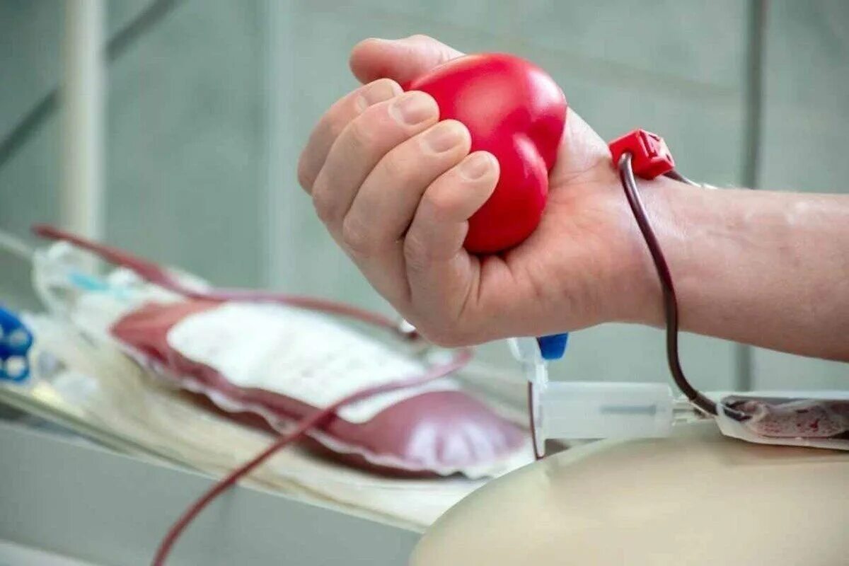 Донор. День донора крови. Акция день донора.