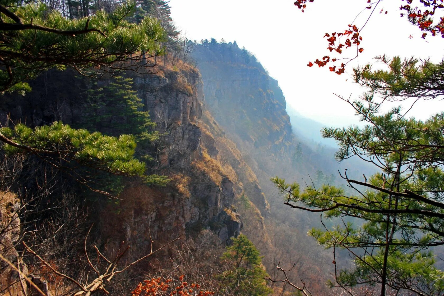 осенний петропавловск камчатский. дальний лес. заповедник бастак биробиджан. бурые лесные почвы широколиственных лесов. дальневосточные леса.