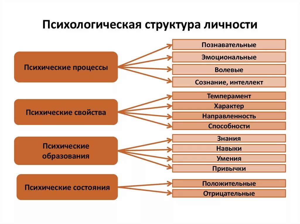 Из чего состоит личность структура в психологии. Психологическая структура личности. Структура личности в психологии. В структуре личности выделяют:. Черты любой деятельности