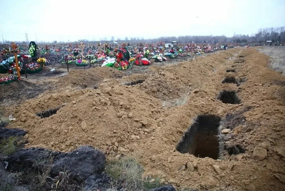 Через сколько лет можно подхоранивать в могилу