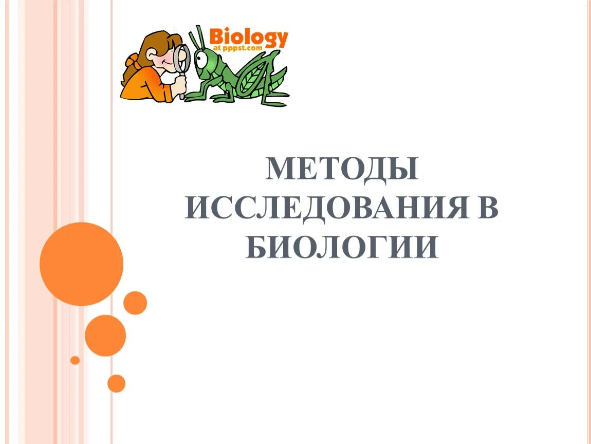 Учитель биологии выполняемая работа. Методы исследования в биологии 9 класс. Методы исследования в биологии 5 класс. Методы исследования для презентации. Исследовательская работа по биологии.