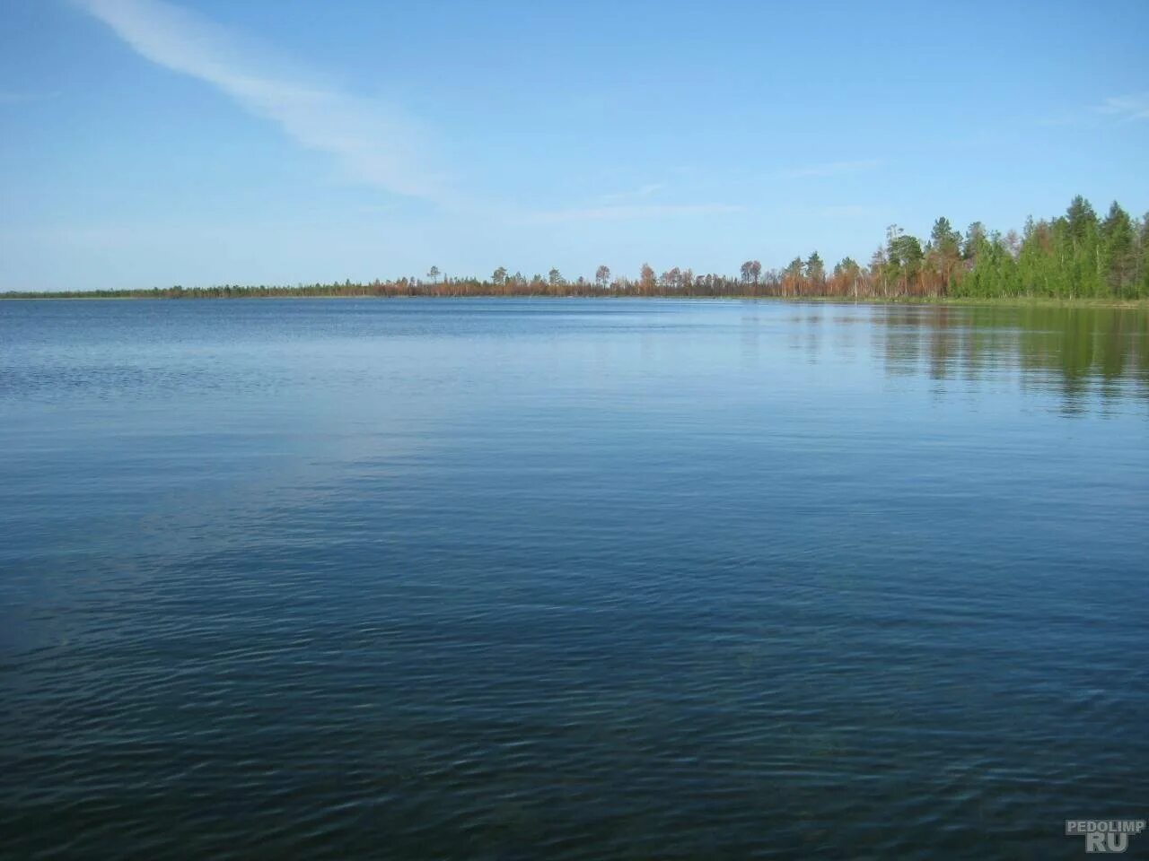 Озеро в Урае ХМАО. Река Конда Урай. Река Конда ХМАО. Озеро светлое ХМАО.