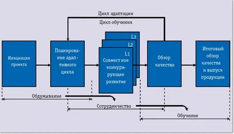 Цикл адаптации