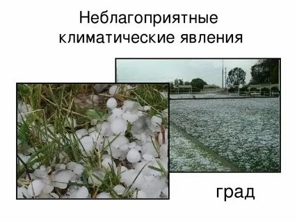 Какие неблагоприятные явления связаны с климатом