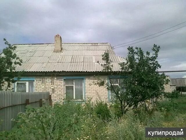 Погода пионерское саратовская область. Погода пионерское саратовская область. Пионерский, д. Погода пионерское саратовская область. Село пионер волгоградская область.