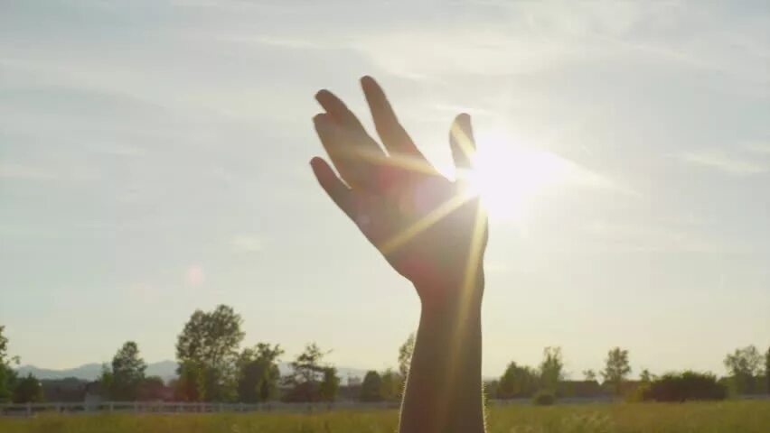Sunshine in hands speed up fohin