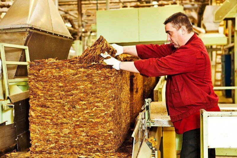 Оборудование для переработки сельхозпродукции. Перерабатывающая промышленность. Измельчитель фарша для колбас. Лом цветных металлов. Кокс нлмк.