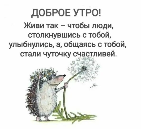 Стих про доброе утро прикольные. Смешные утренние высказывания. доброе утро картинки со смыслом. статусы с добрым утром со смыслом. с добрым утречком со смыслом.