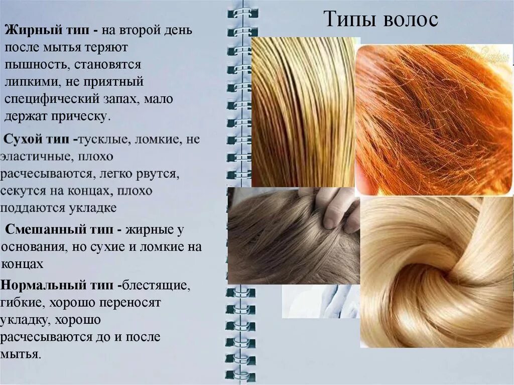 Типы волос. Разновидности структуры волос. структура волос виды. охарактеризуйте типы волос.
