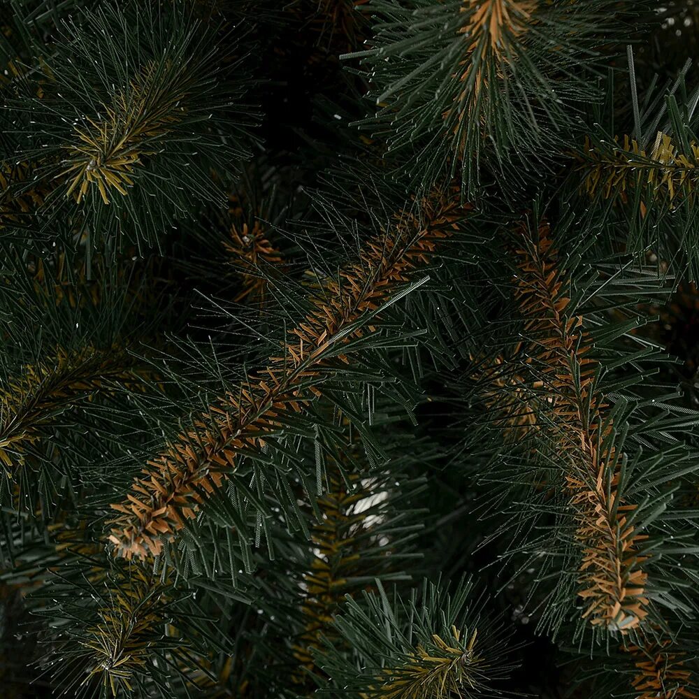 Цвет ели