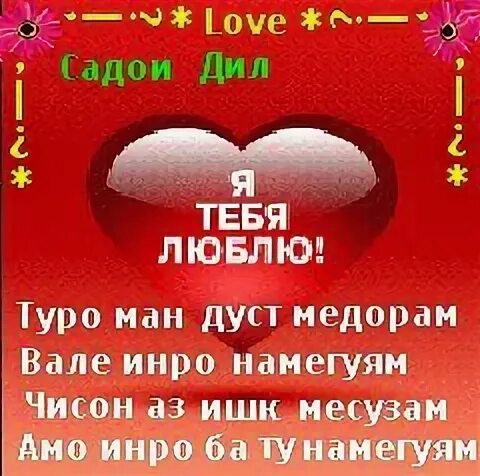 Туро дуст