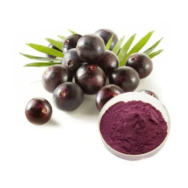 Ягоды асаи, порошок (50 г). Ягоды из бразилии. Экстракт ягод асаи. Бразильская ягода асаи. Суперфуд ягоды асаи.