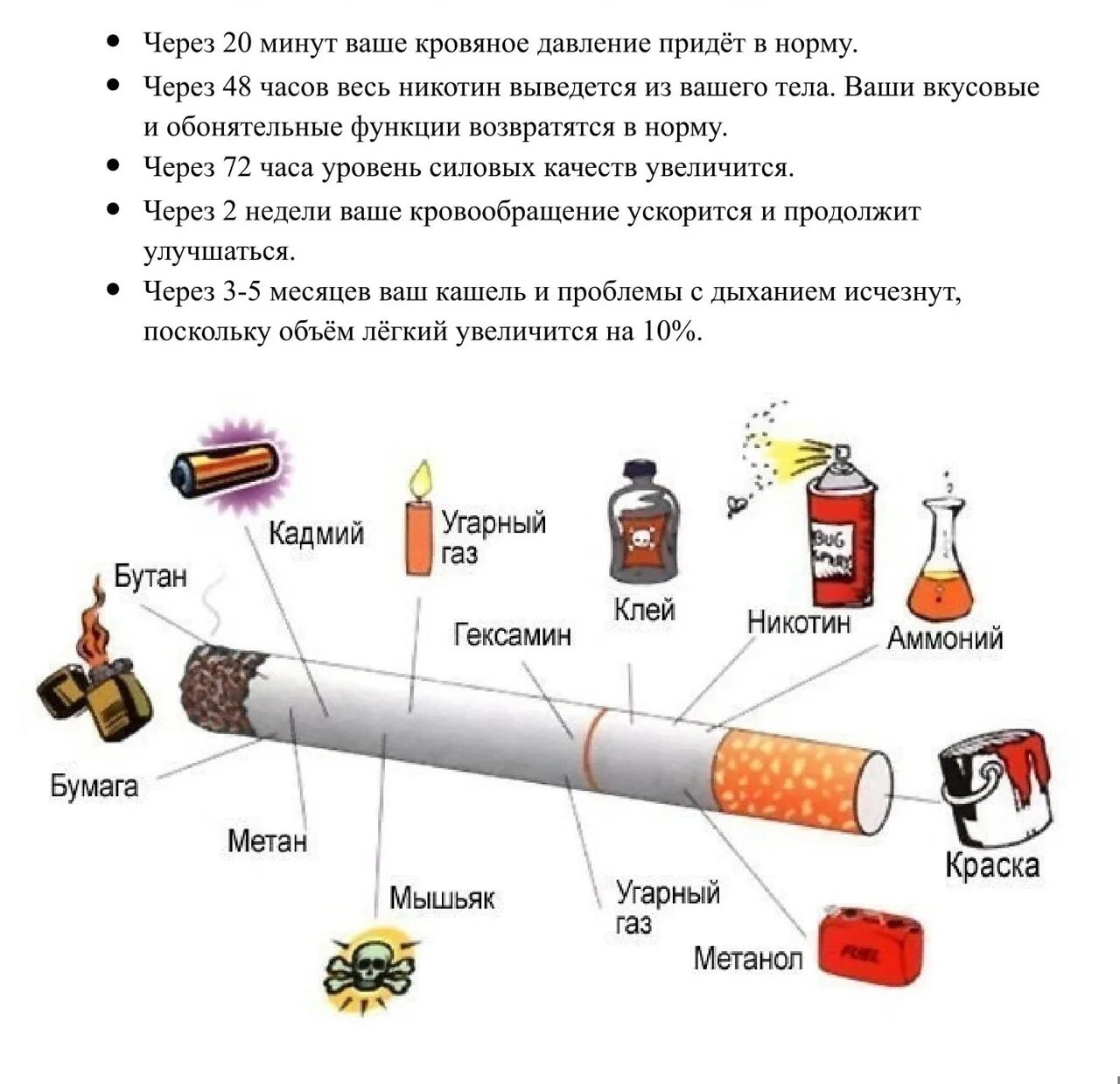 Организм после сигарет. Состав сигареты. Если бросить курить. Вредные вещества в сигарете. Что будет если бросить курить.