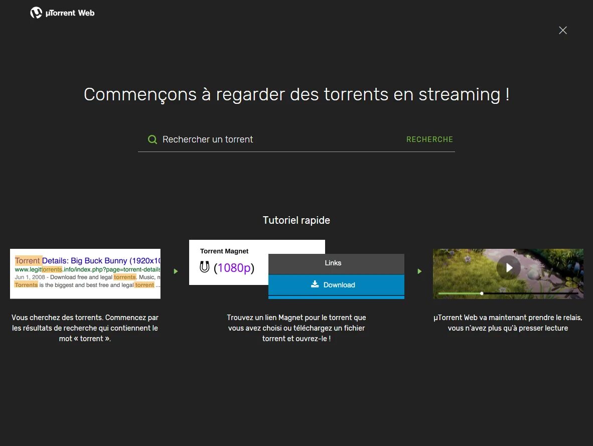 Torrents видео
