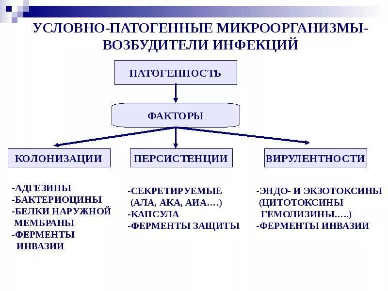 Виды условно патогенных микроорганизмов. Схема факторы патогенности микроорганизмов. Общая характеристика патогенных микроорганизмов. Факторы патогенности микроорганизмов микробиология таблица.