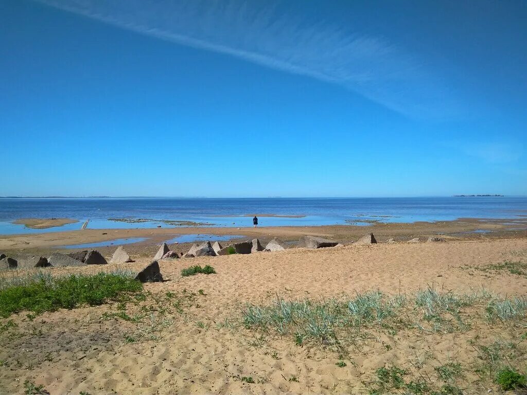 побережье новой зеландии фото. пляж горячей воды новая зеландия. пляж коекохе, новая зеландия. австралийский пляж hyams beach. пинк-сэндс-бич, багамские острова.