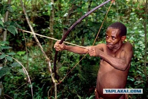 Еврей лесбиянка порно