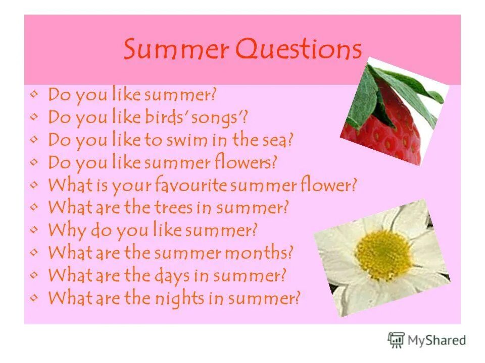 Last summer questions