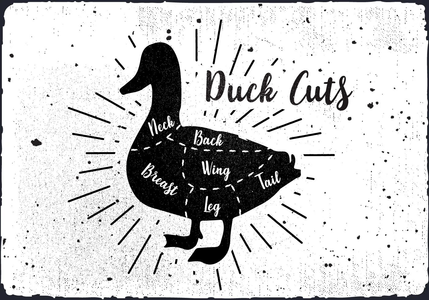Utka вектор. Утка вектор лого. Duck слово. Плакат мясо и птица.