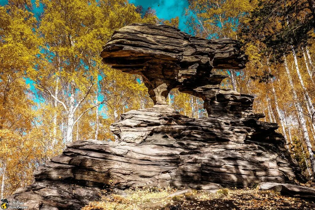 Челябинская область краснодарский край