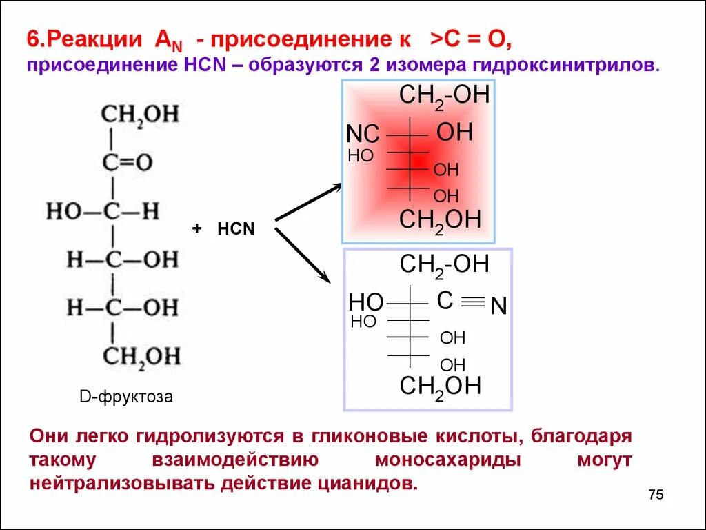 Фруктоза взаимодействует с. Взаимодействие Глюкозы с синильной кислотой. Фруктоза с синильной кислотой реакция. D фруктоза и синильная кислота. Взаимодействие фруктозы с синильной кислотой.