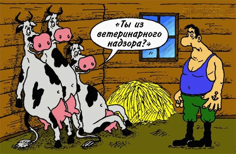 Тетка со здоровым выменем и сракой