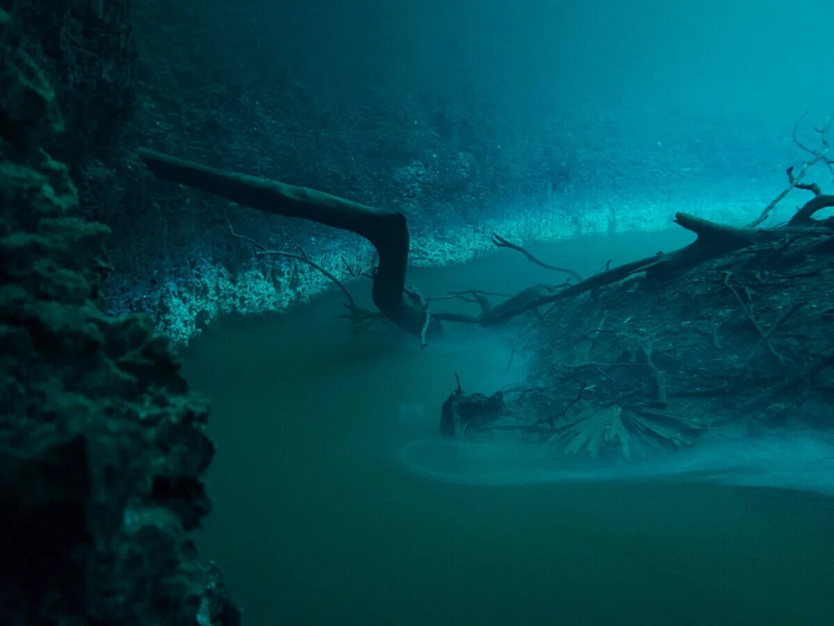 Сероводород в черном море