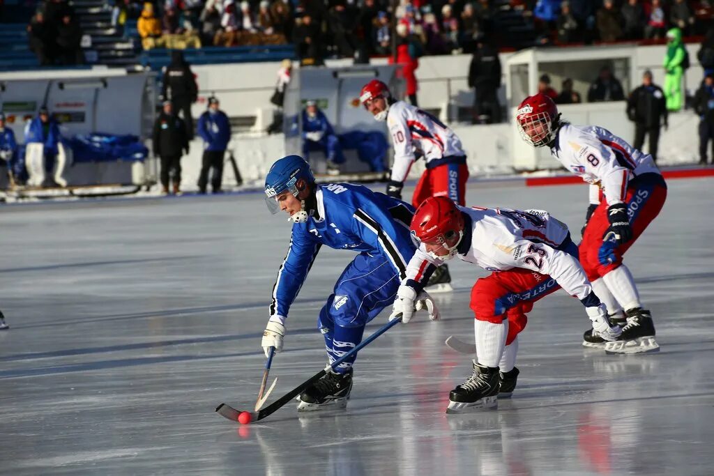 Hockey mos. Хоккей. Хоккей вид спорта. Зимние виды спорта хоккей. Хоккей с мячом.