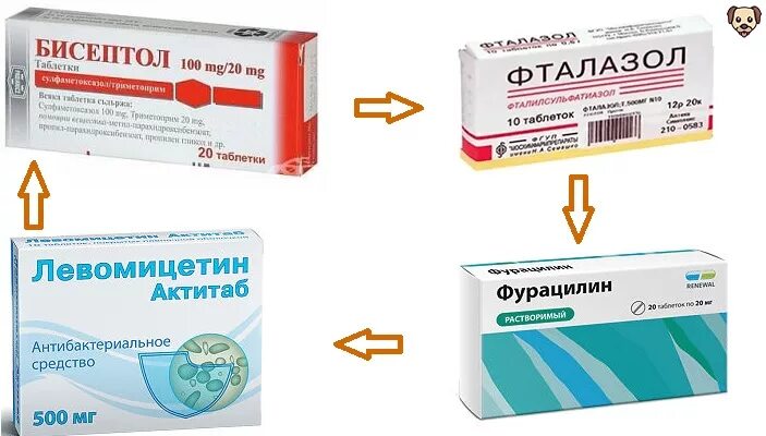 Можно ли при гастроэнтерите. Лекарство от гастроэнтерита. препараты от гастроэнтерита у взрослых. противовирусные при гастроэнтерите. антибиотики при гастроэнтерите.