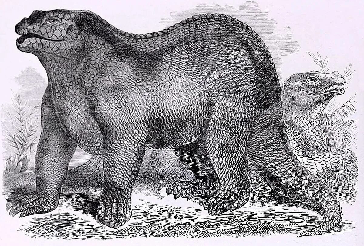 Картинки первые животные Pin by LADA HRDLICKA on Prehistori Animals Prehistoric animals, Extinct animals,