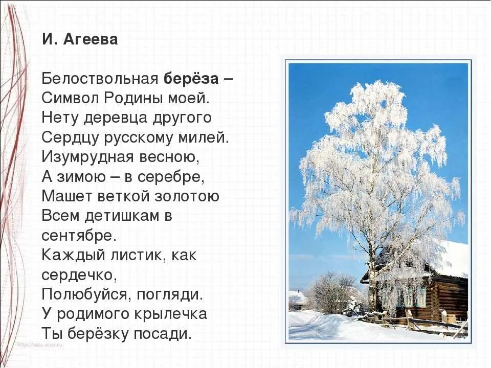 Стихотворения печальная береза