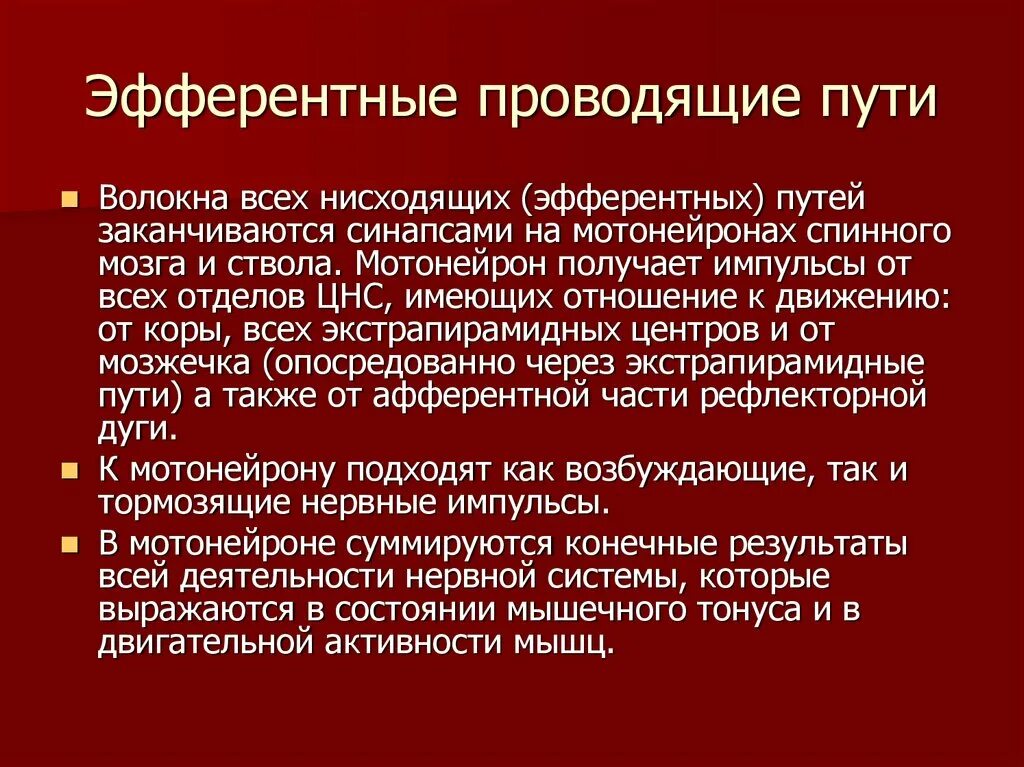 Эфферентные волокна. Эфферентный путь вегетативных нервов. Эфферентные волокна. Эфферентные проводящие пути. Эфферентные нервные волокна.