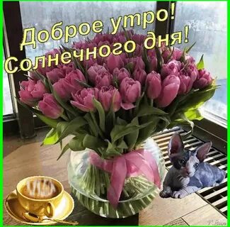 Открытки с мартовским воскресеньем
