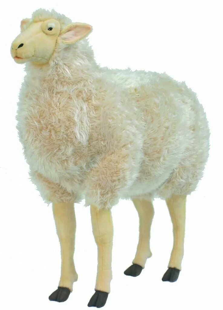 Ягненок барашек. Ягненок на белом фоне. Корм для собак grand prix (12 кг) large adult ягненок. Игрушка подушка овцы 2015. 2 овцы игрушки.