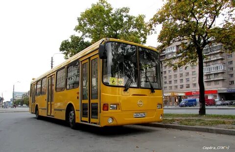 98 автобус спб