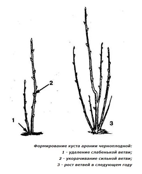 Как формировать иргу