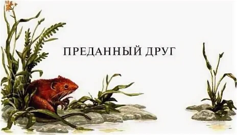 Сказка верный друг