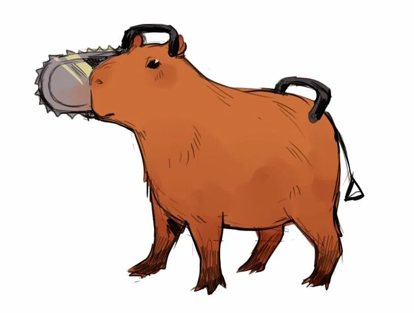 Pin on CAPYBARA Cute rats, Cute animals, Capybara