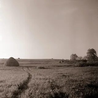 Село старое поле