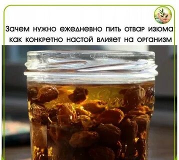 Прожить настаивать