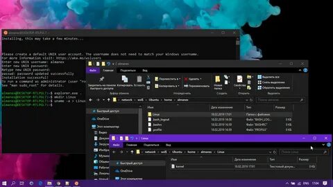 Wsl path