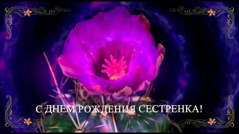 Музыкальное поздравление сестре открытка