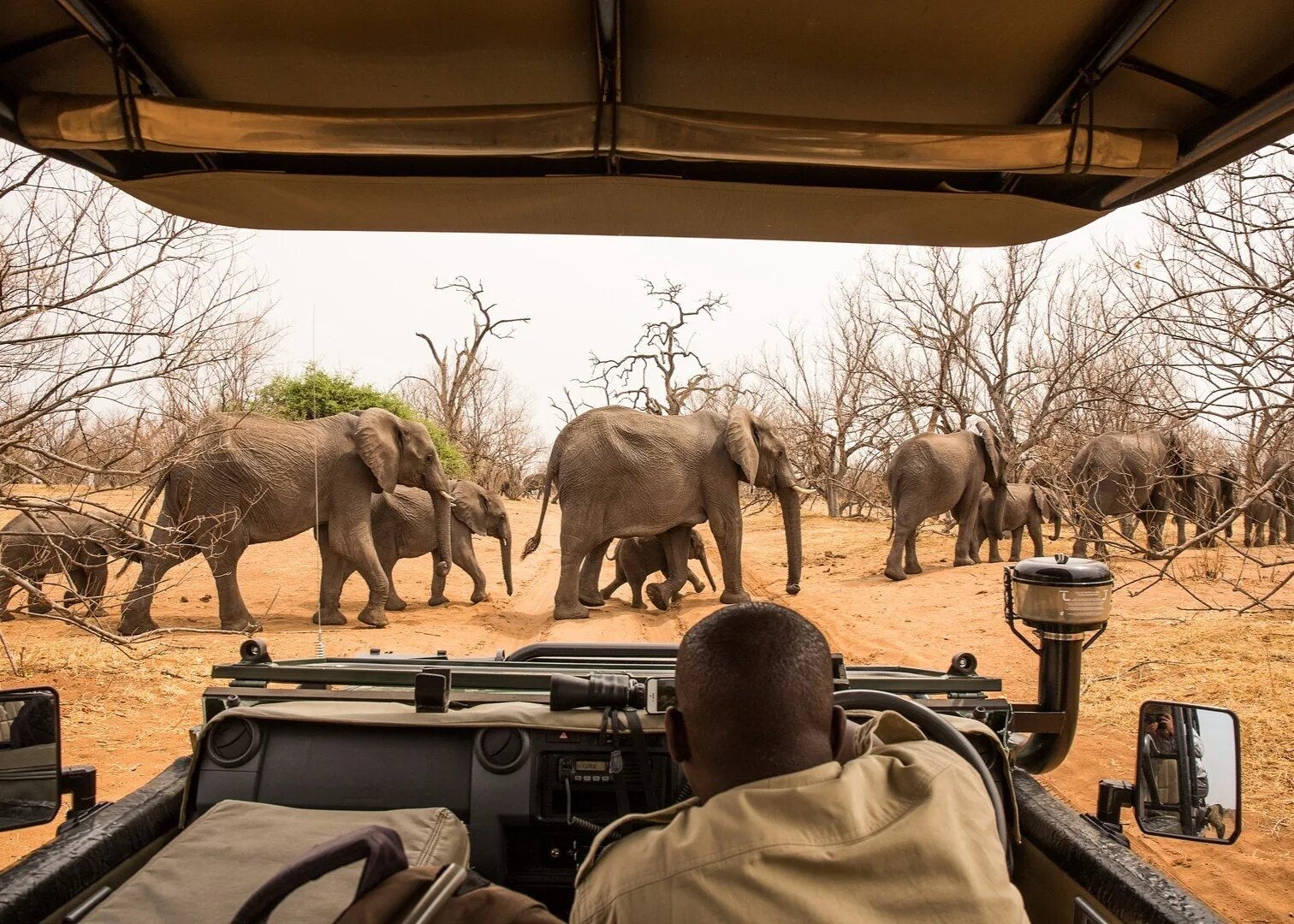 Africa safari. Национальный парк Чобе Ботсвана. Парк Чобе сафари. Сафари парке Чобе в Ботсване. Парк Чобе в Африке.