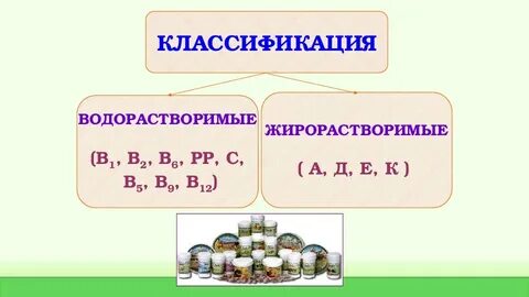 Витамины биология 8 презентация