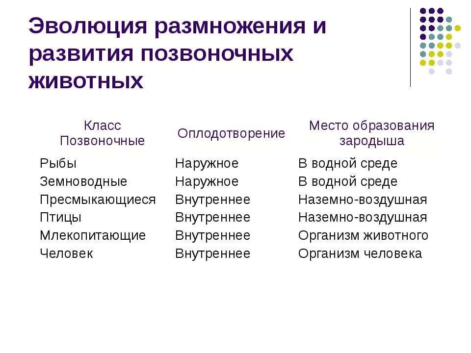 Размножение и развитие человека 8. Размножение и развитие позвоночных. Эволюция размножения. Эволюция системы размножения. Эволюция размножения животных.