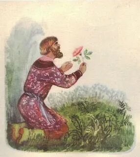 С т аксаков цветочек