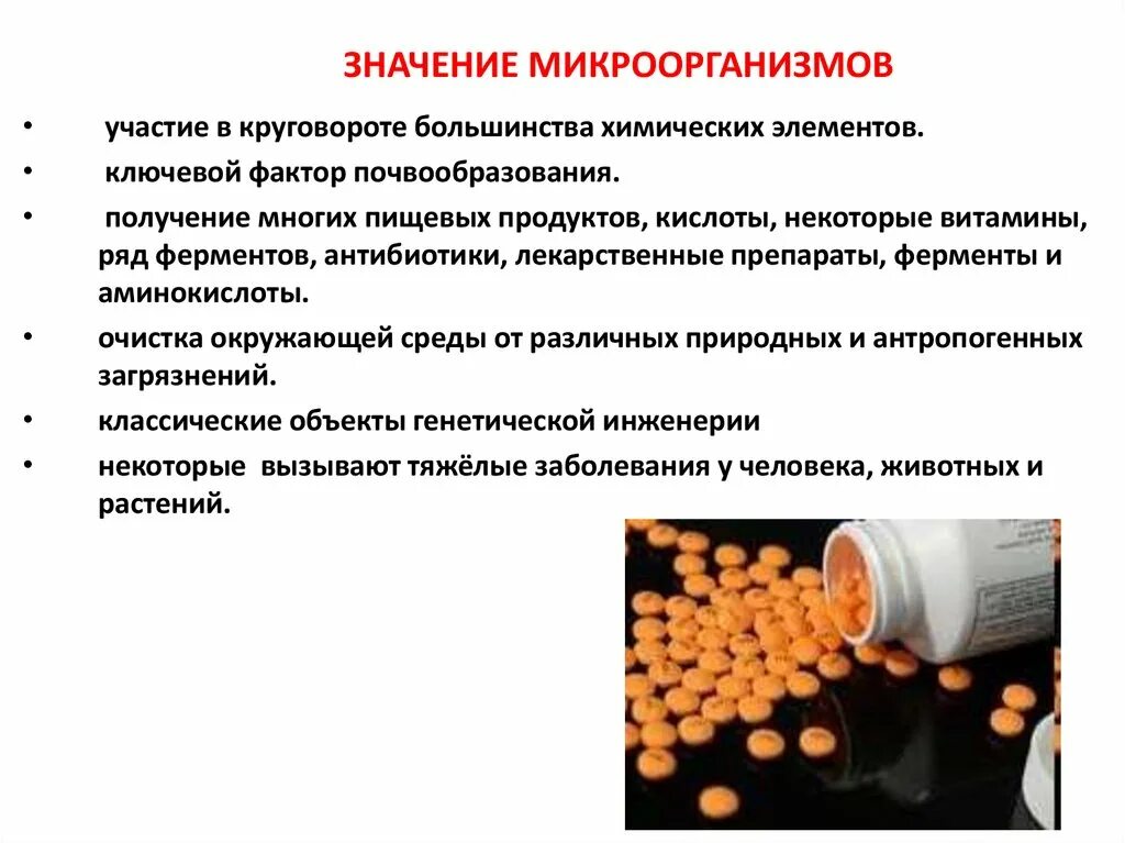 Медицинская микробиология значение в практической деятельности врача. Медицинская микробиология значение в практической деятельности врача